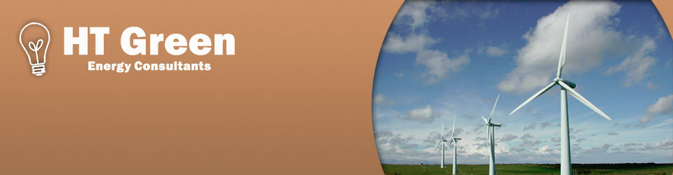 HT Green Banner